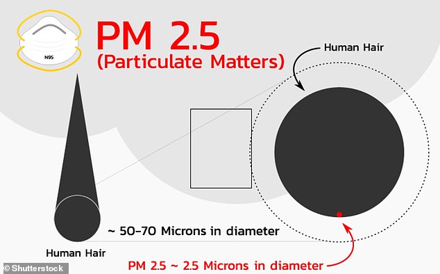 ويقال إن الملوثات - PM2.5s - هي أسوأ من كل حركة المرور على الطرق في المملكة المتحدة مجتمعة