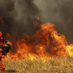 كيف يمكنك مساعدة رجال الإطفاء المسجونين في مكافحة حرائق الغابات في لوس أنجلوس