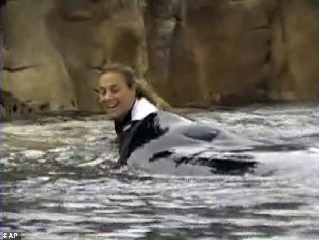 لحظات Dawn الأخيرة مع Tilikum خلال عرضها 